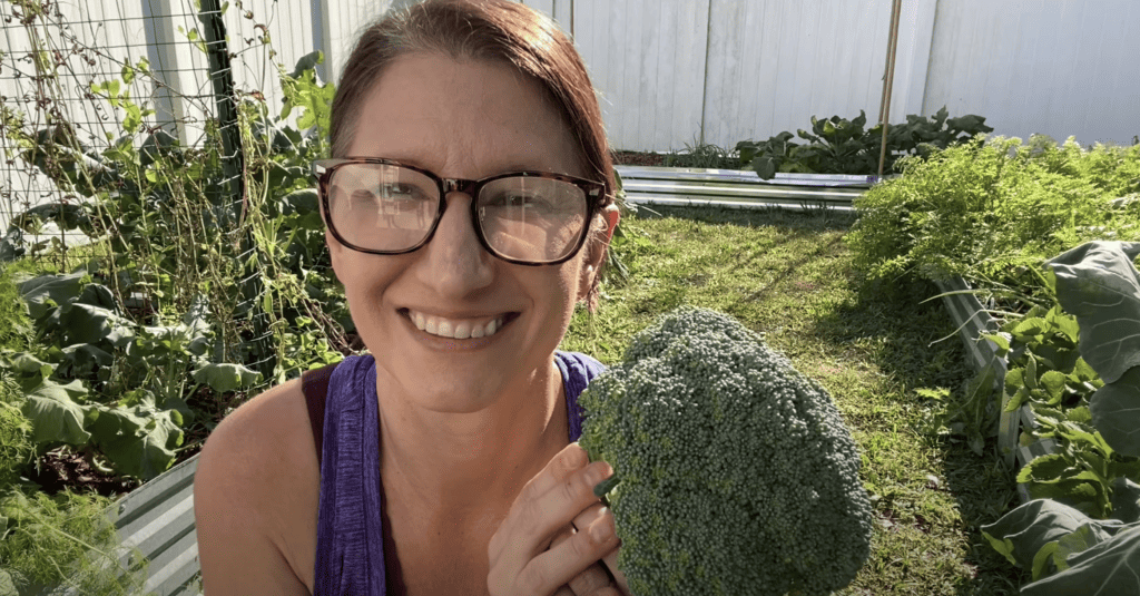 Broccoli harvest